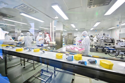 餐桌上的安全衛士 走進沈陽綠色工廠，揭秘食品產業的生產革命